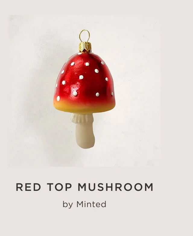 Red Top Mushroom