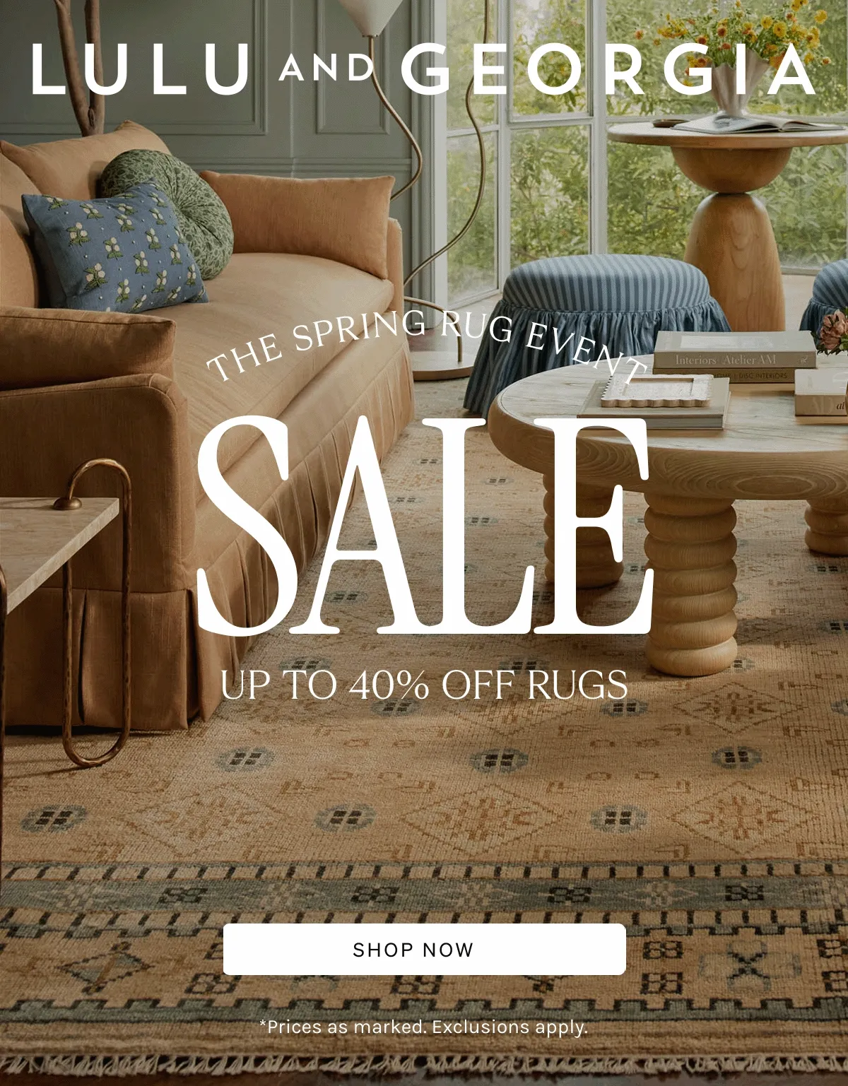 Shop Rug Sale