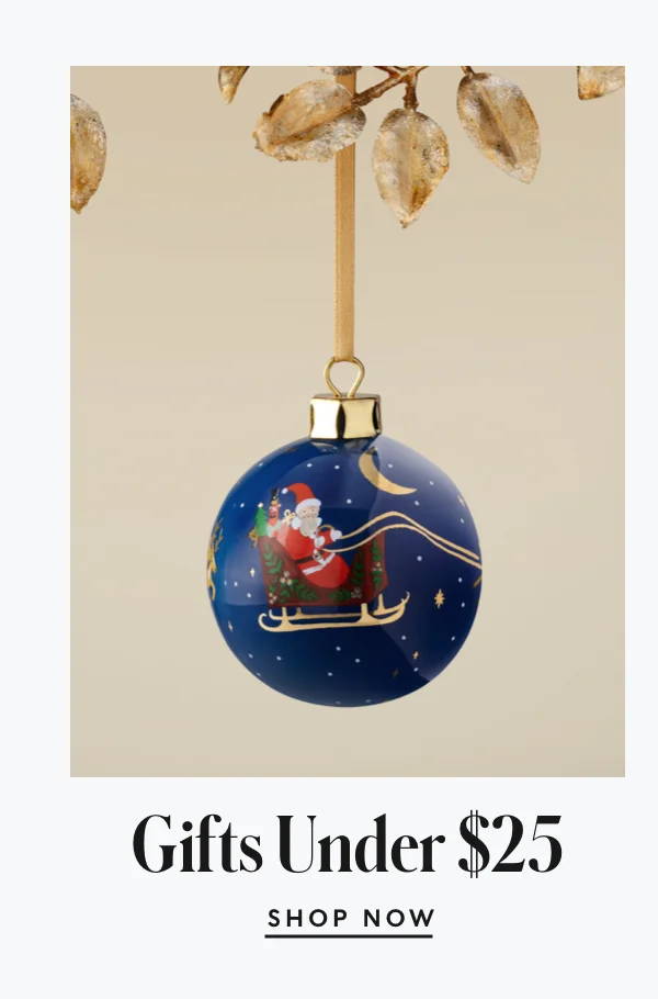 Shop Gifts Under $25