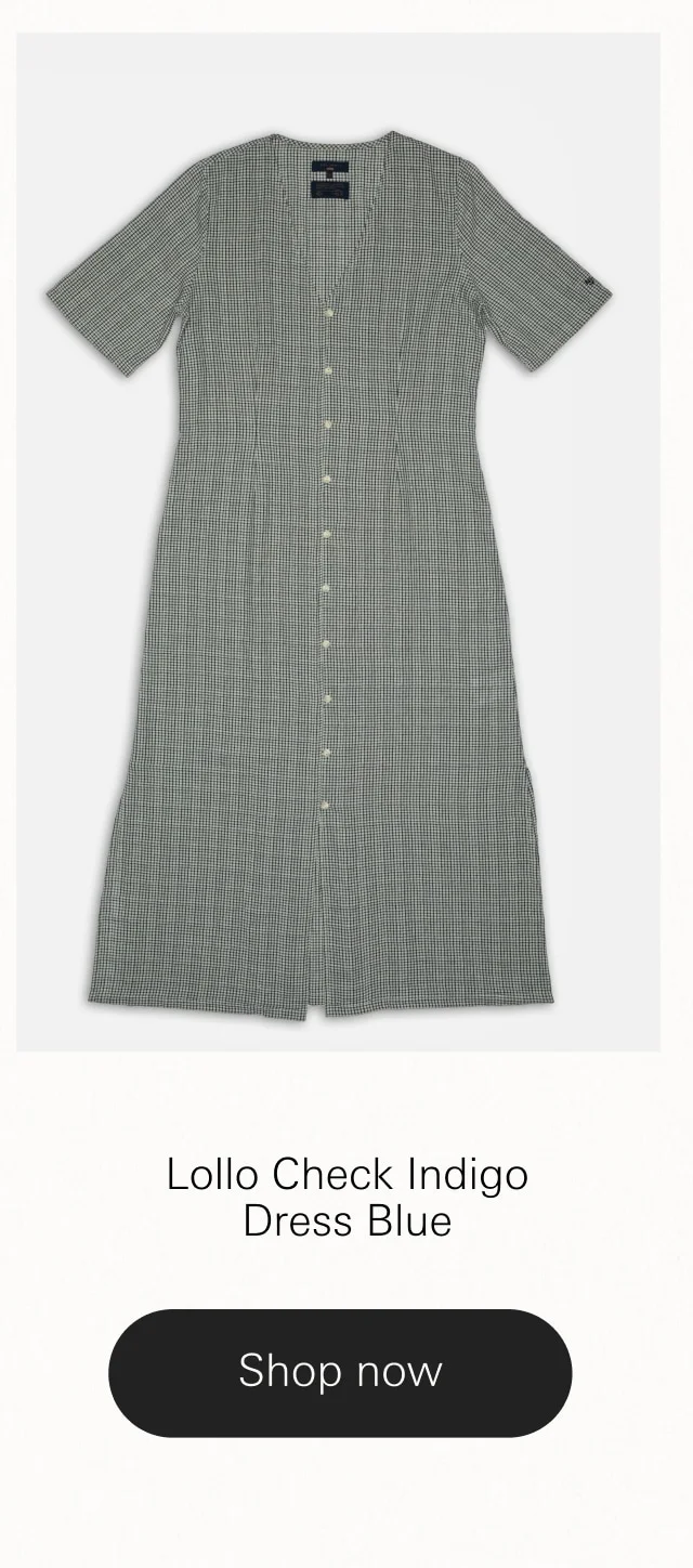 Lollo Check Indigo Dress Blue