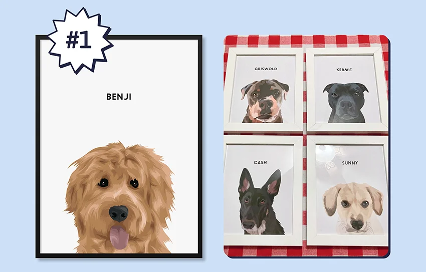 Modern Pet Portrait