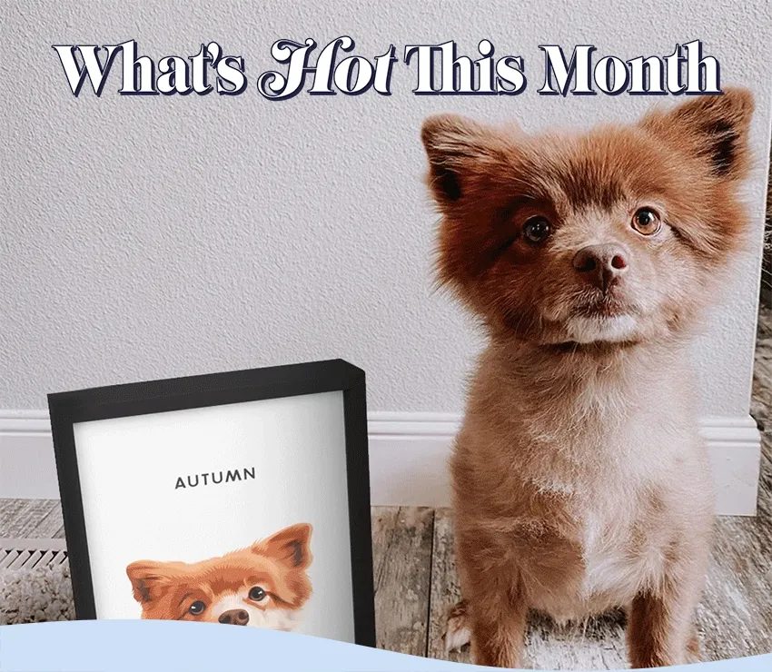 What's hot this month - July's Best Sellers