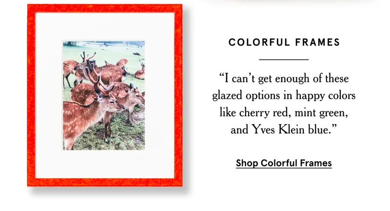 Colorful Frames. Shop Colorful Frames