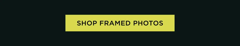 Shop Framed Photos