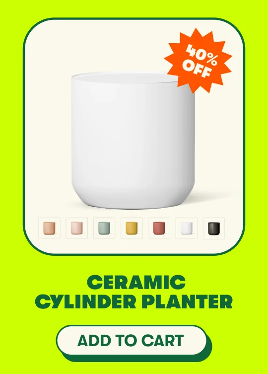 Ceramic Cylinder Planter [ADD TO CART]