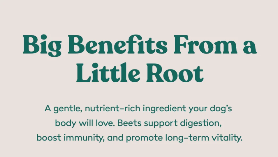 Big Benefits From a Little Root