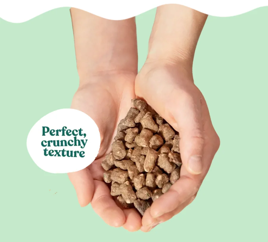 Perfect Crunchy texture