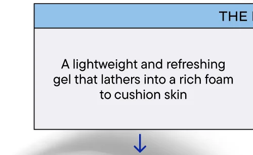 Shave Gel