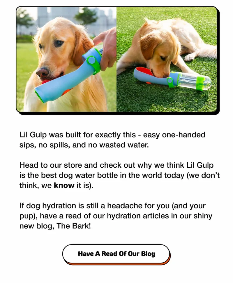 Have A Read Of Our Blog