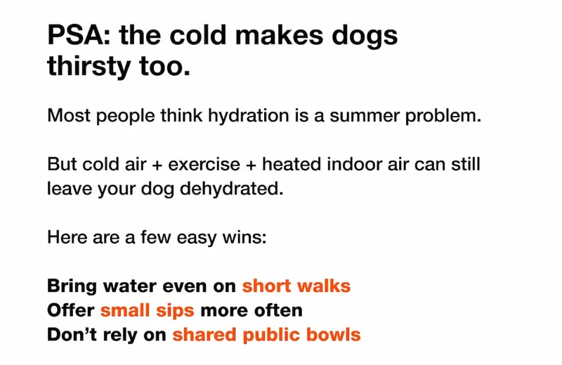 PSA: the cold makes dogs thirsty too.