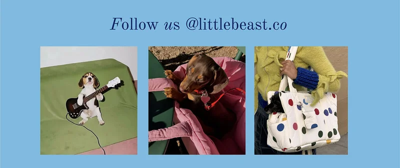 Follow us on Instagram