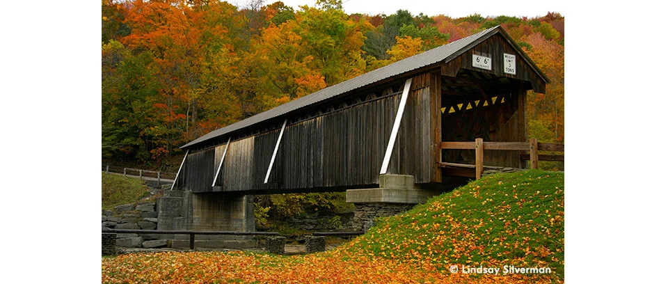 Reflecting on autumn’s colors and light.