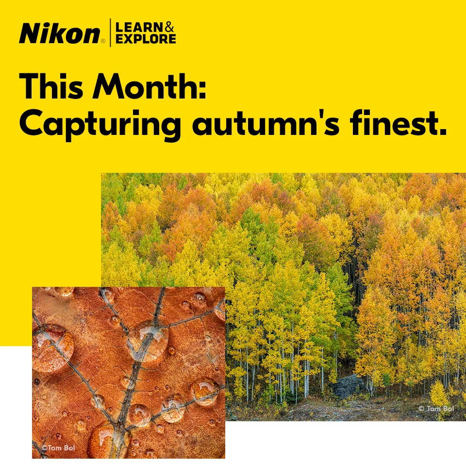 Nikon Learn and Explore | This month: Capturing autumn's finest.
