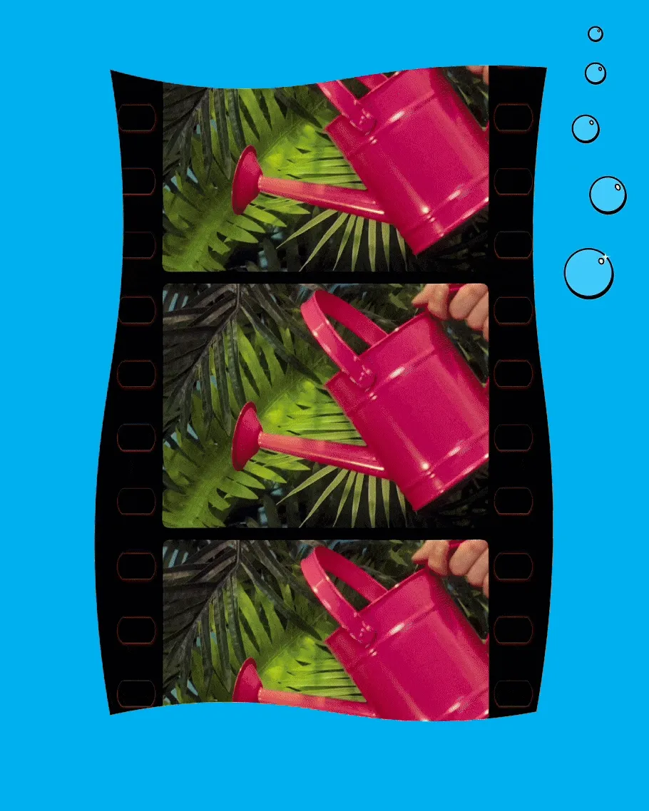 The Hydrated Hoodie