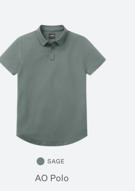AO Polo - Sage