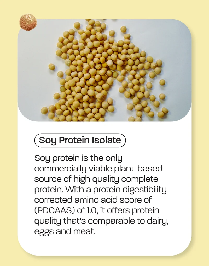 Soy Protein Isolate