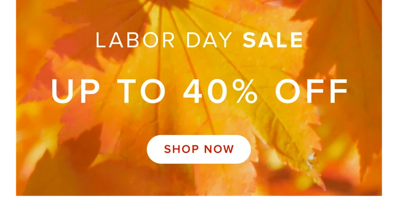 Shop the Sale: Up to 40% off select items.