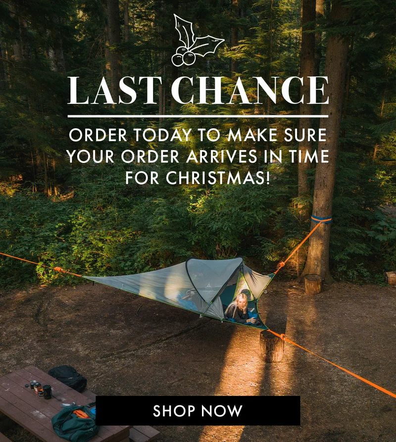 Last Chance For Christmas Delivery