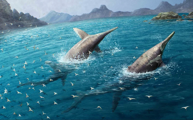 An illustration of a giant pair of swimming Ichthyotitan severnensis, a marine reptile that paleontologists believe may have been the orca of its day.