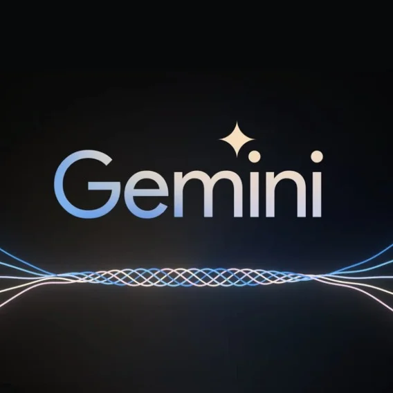 a box with an illustration of the word 'Gemini'