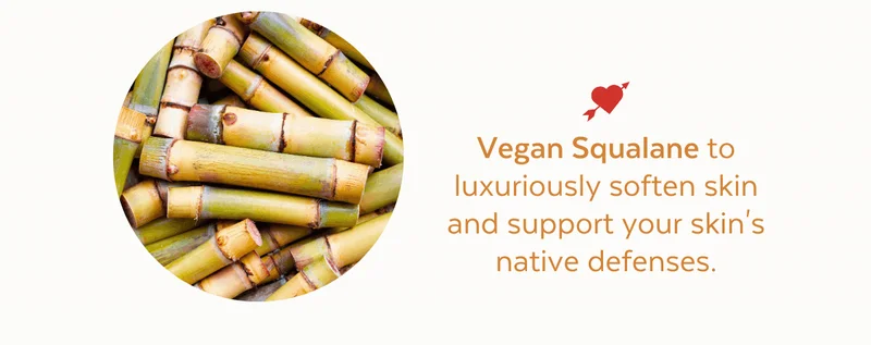 Vegan Squalane to luxuriously soften skin and support your skin's native defenses.