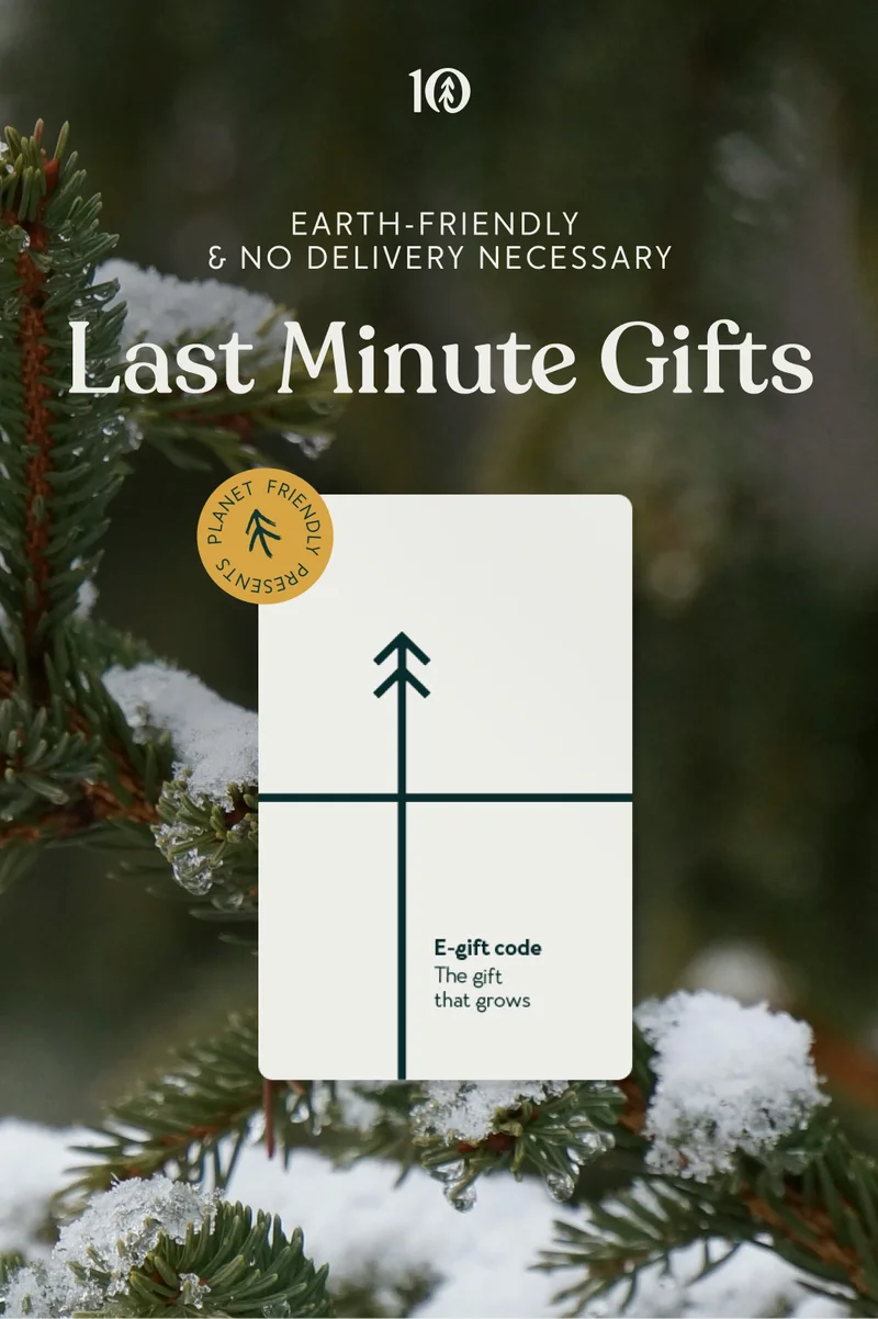 Earth Friendly and No Delivery Necessary: Last Minute Gifts