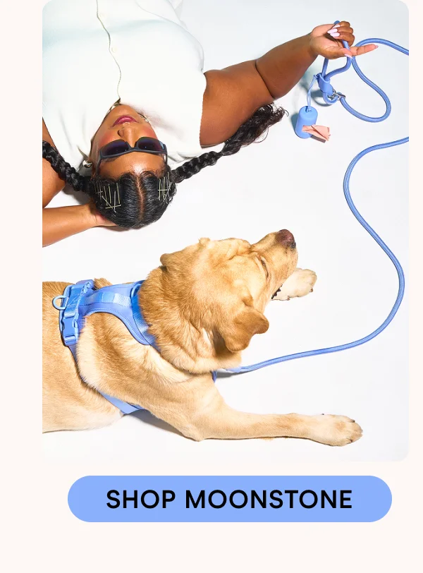 shop moonstone