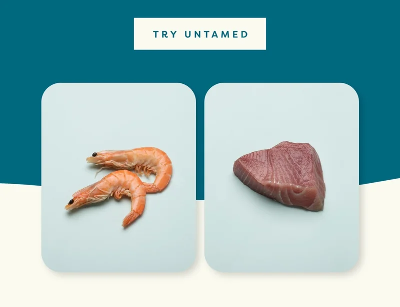 Try Untamed
