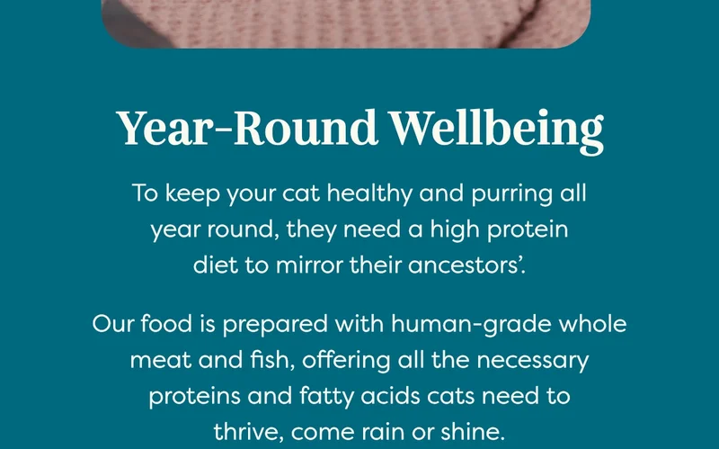 Year-round wellbeing