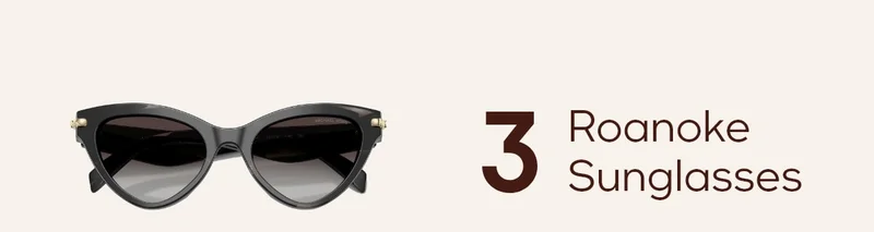 3 Roanoke Sunglasses