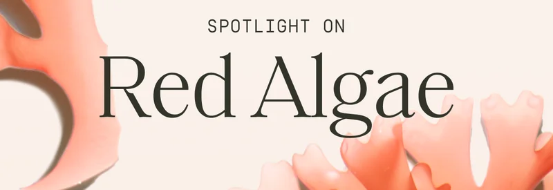 Spotlight on Red Algae