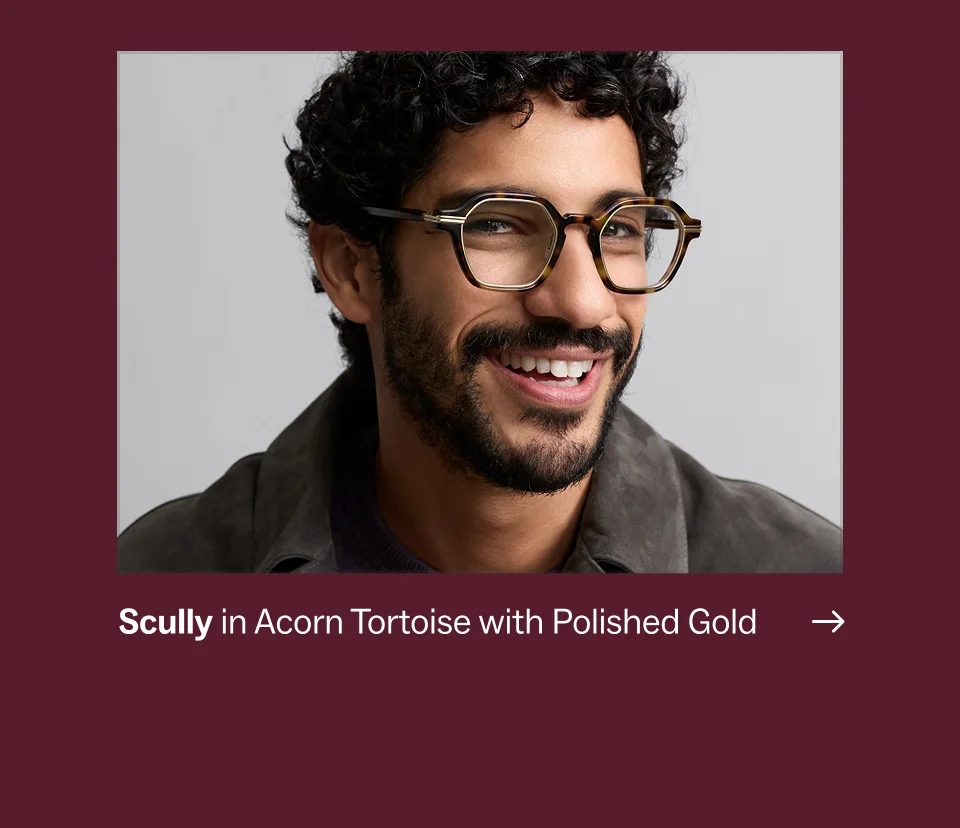 Scully in Acorn Tortoise