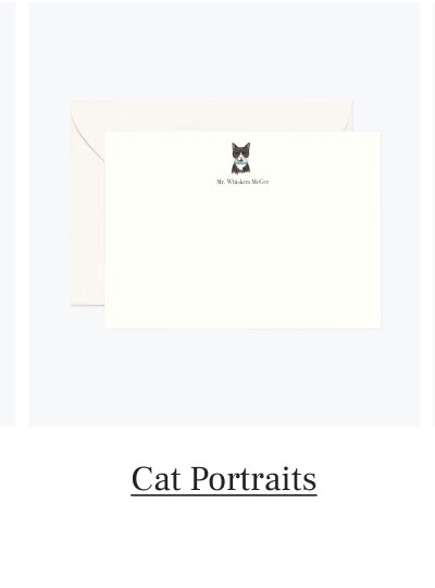 Cat Portraits