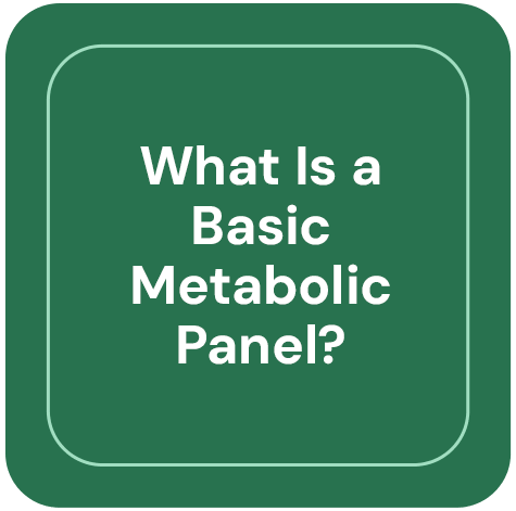 What is a basic metabolic panel?