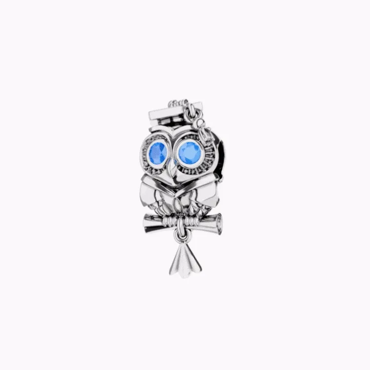 Wise Owl Graduation Charm
