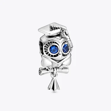 Wise Owl Graduation Charm