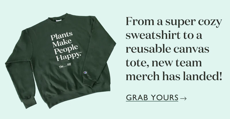 From a super cozy sweatshirt to a reusable canvas tote, new team merch has landed! Get yours.