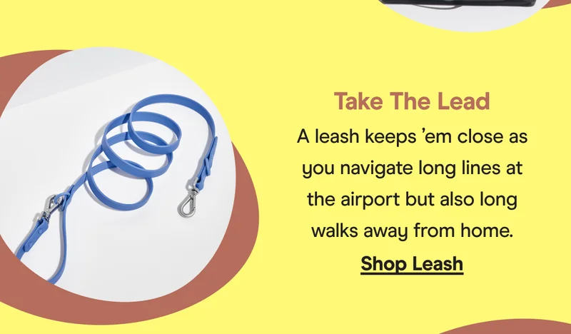 shop leash