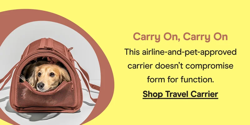 travel carrier