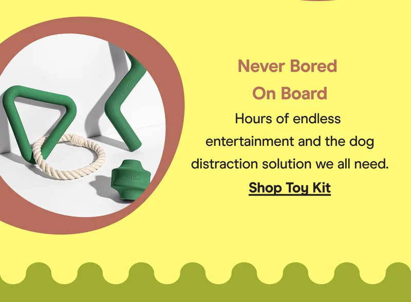 toy kit