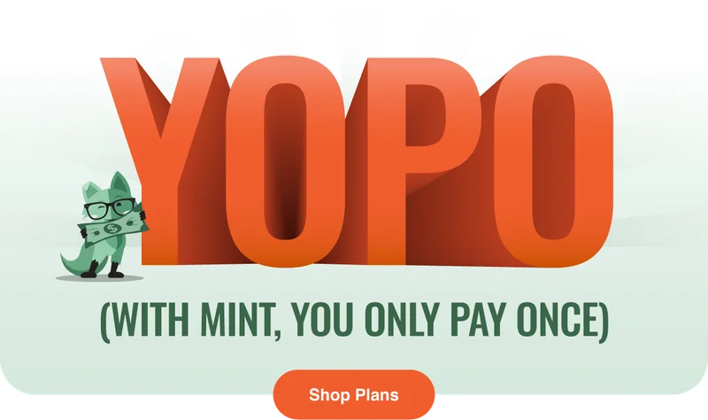 YOPO - With Mint, you only pay once