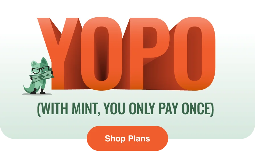 YOPO - With Mint, you only pay once