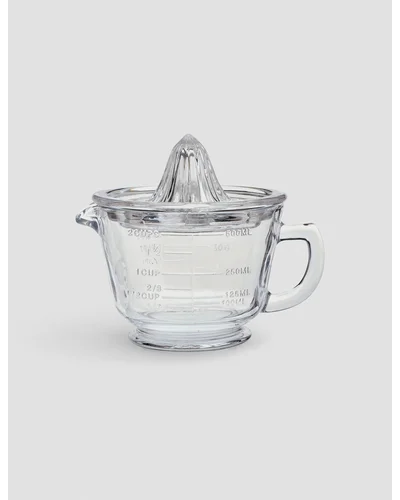 Glass Citrus Juicer