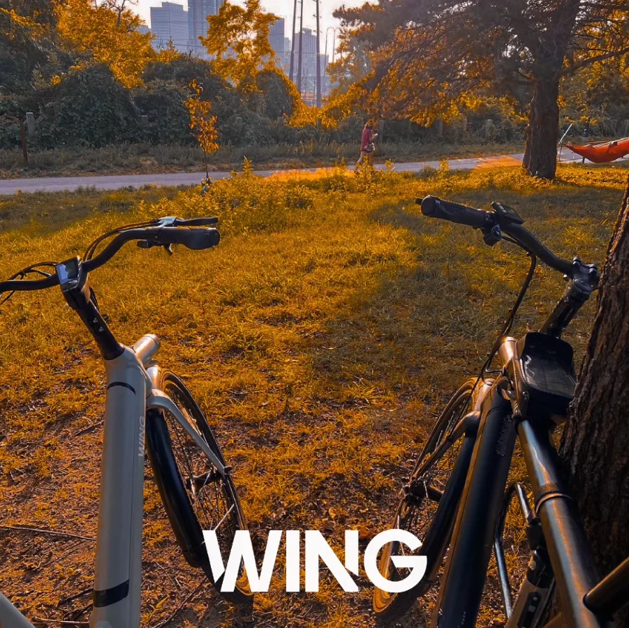 Wing