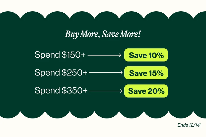 Holiday Savings Buy More Save More up to 20%