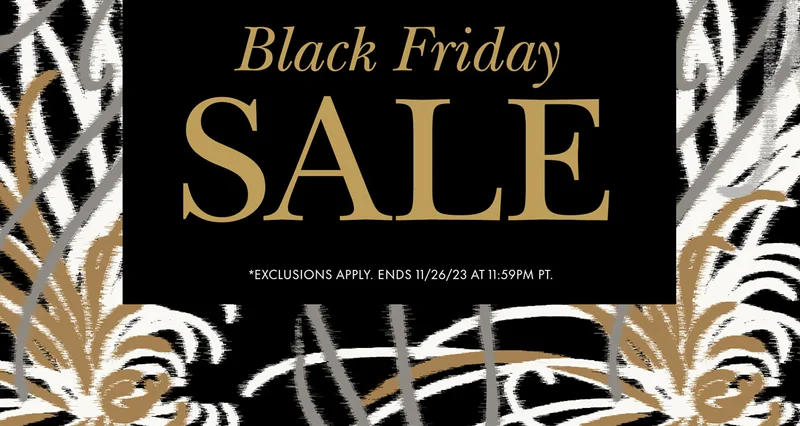 Black Friday Sale
