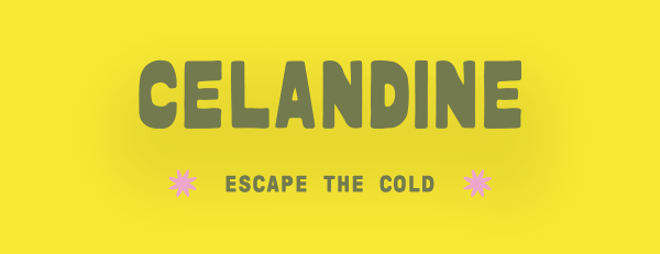 Escape the Cold