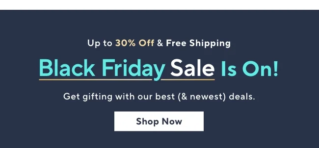 Black Friday Sale