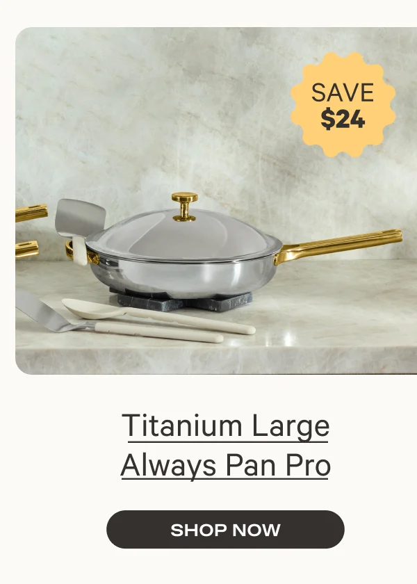 Titanium Large Always Pan Pro