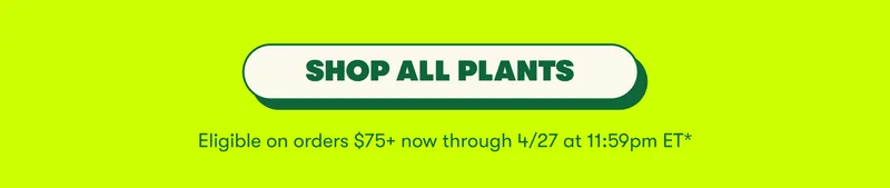 [SHOP ALL PLANTS]
